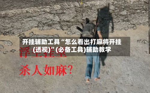 开挂辅助工具“怎么看出打麻将开挂(透视)”(必备工具)辅助教学-第3张图片