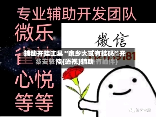 辅助开挂工具“家乡大贰有挂吗”开挂(透视)辅助