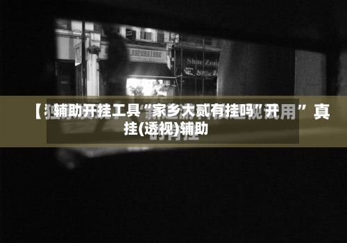 辅助开挂工具“家乡大贰有挂吗”开挂(透视)辅助-第2张图片