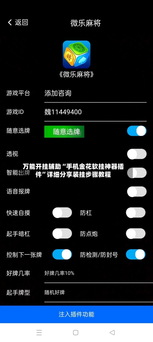 万能开挂辅助“手机金花软挂神器插件”详细分享装挂步骤教程-第3张图片