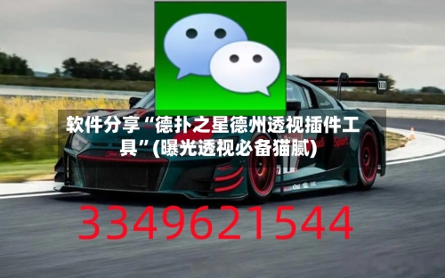 软件分享“德扑之星德州透视插件工具”(曝光透视必备猫腻)-第2张图片