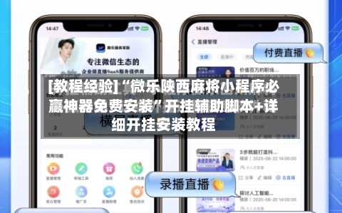 [教程经验]“微乐陕西麻将小程序必赢神器免费安装”开挂辅助脚本+详细开挂安装教程-第3张图片