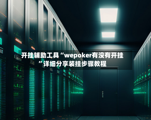开挂辅助工具“wepoker有没有开挂”详细分享装挂步骤教程-第2张图片