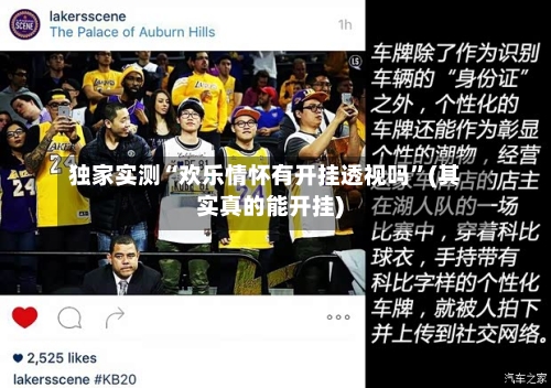 独家实测“欢乐情怀有开挂透视吗	”(其实真的能开挂)-第3张图片