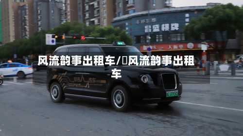 风流韵事出租车/ 风流韵事出租车-第3张图片