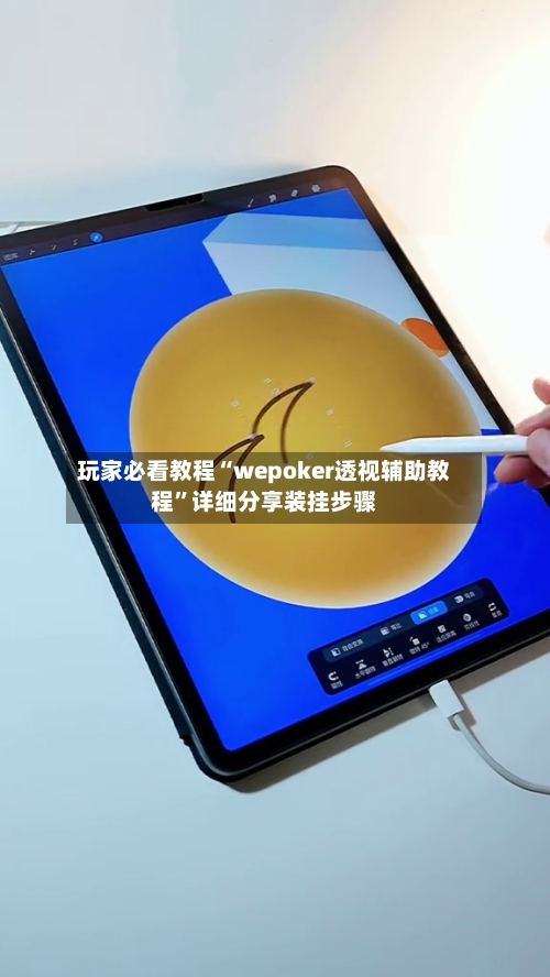 玩家必看教程“wepoker透视辅助教程”详细分享装挂步骤-第2张图片