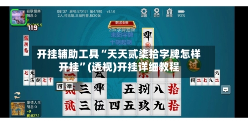 开挂辅助工具“天天贰柒拾字牌怎样开挂”(透视)开挂详细教程-第2张图片