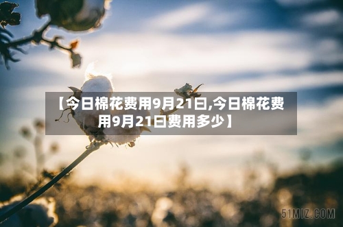 【今日棉花费用9月21曰,今日棉花费用9月21曰费用多少】
