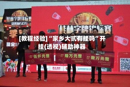 [教程经验]“家乡大贰有挂吗”开挂(透视)辅助神器-第2张图片