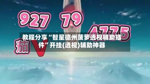 教程分享“智星德州菠萝透视辅助插件”开挂(透视)辅助神器-第3张图片