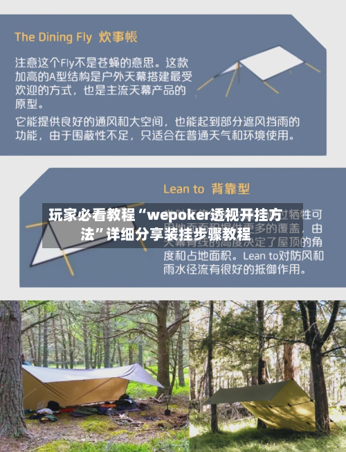 玩家必看教程“wepoker透视开挂方法”详细分享装挂步骤教程-第2张图片