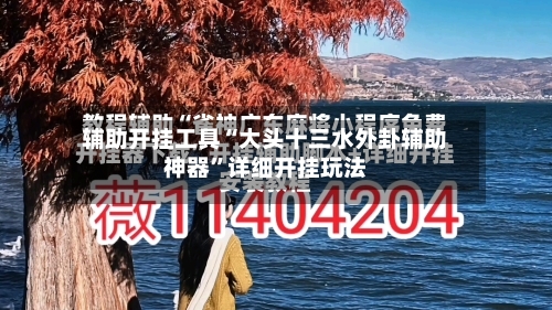 辅助开挂工具“大头十三水外卦辅助神器”详细开挂玩法-第2张图片