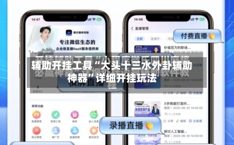 辅助开挂工具“大头十三水外卦辅助神器”详细开挂玩法-第3张图片