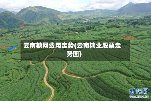 云南糖网费用走势(云南糖业股票走势图)-第2张图片