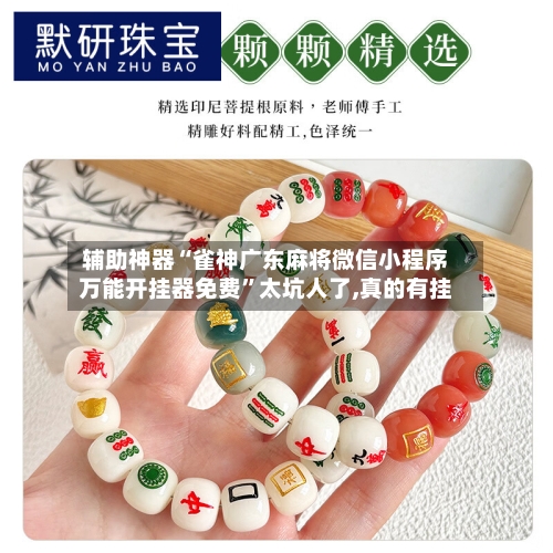 辅助神器“雀神广东麻将微信小程序万能开挂器免费	”太坑人了,真的有挂-第2张图片