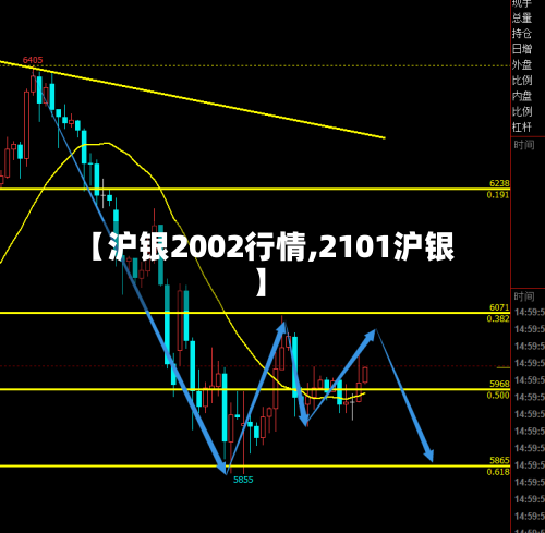 【沪银2002行情,2101沪银】