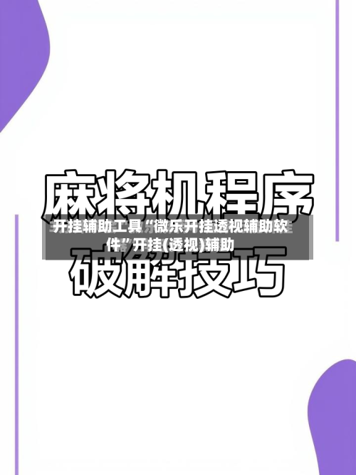 开挂辅助工具“微乐开挂透视辅助软件”开挂(透视)辅助-第2张图片