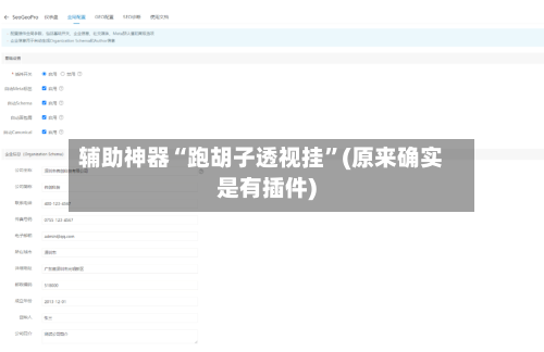 辅助神器“跑胡子透视挂	”(原来确实是有插件)-第2张图片
