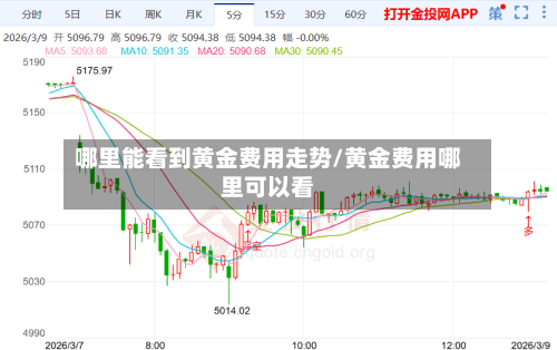哪里能看到黄金费用走势/黄金费用哪里可以看-第3张图片