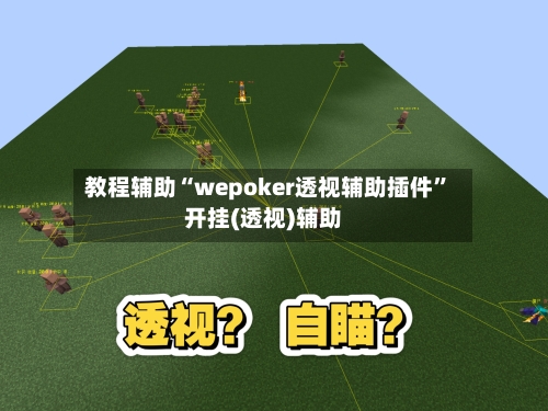 教程辅助“wepoker透视辅助插件	”开挂(透视)辅助-第3张图片