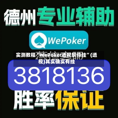实测教程“WePoker透视软件挂”(透视)其实确实有挂-第2张图片