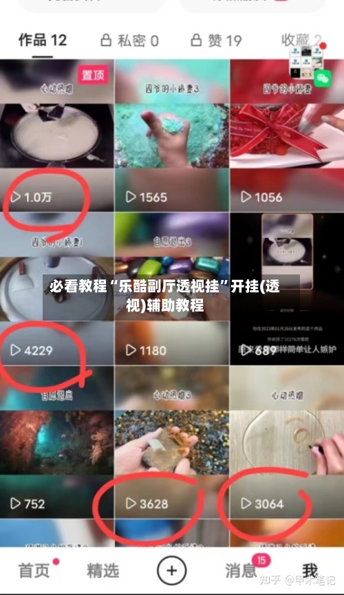 必看教程“乐酷副厅透视挂”开挂(透视)辅助教程-第1张图片