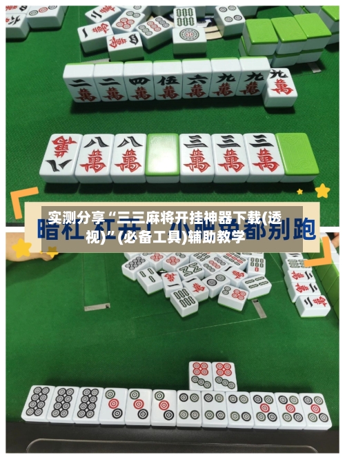 实测分享“三三麻将开挂神器下载(透视)”(必备工具)辅助教学-第2张图片