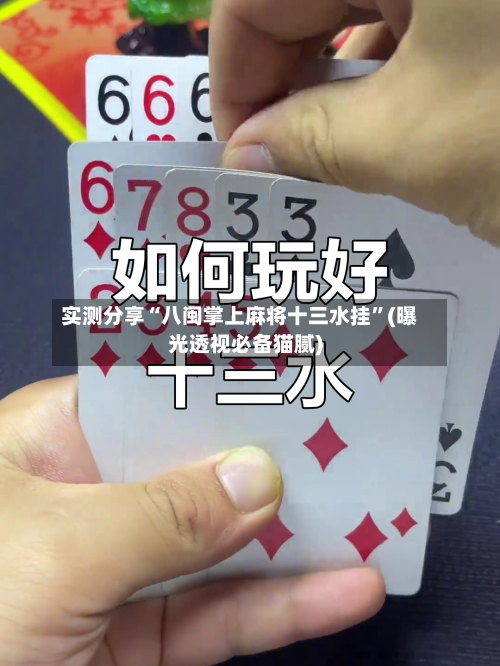 实测分享“八闽掌上麻将十三水挂”(曝光透视必备猫腻)-第2张图片