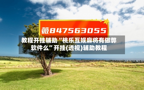 教程开挂辅助“桃乐互娱麻将有做弊软件么”开挂(透视)辅助教程-第2张图片