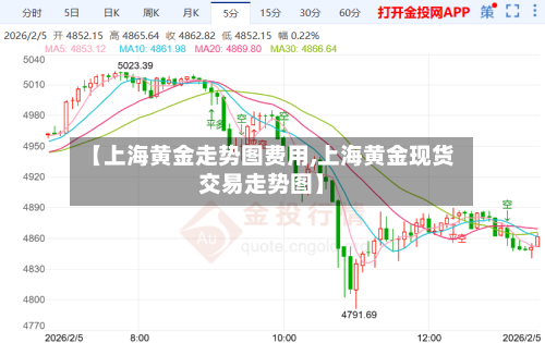 【上海黄金走势图费用,上海黄金现货交易走势图】-第3张图片