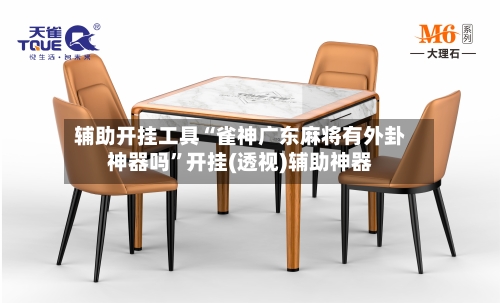 辅助开挂工具“雀神广东麻将有外卦神器吗”开挂(透视)辅助神器-第3张图片