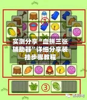实测分享“血拼三张辅助器”详细分享装挂步骤教程-第2张图片