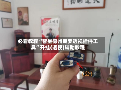 必看教程“智星德州菠萝透视插件工具”开挂(透视)辅助教程