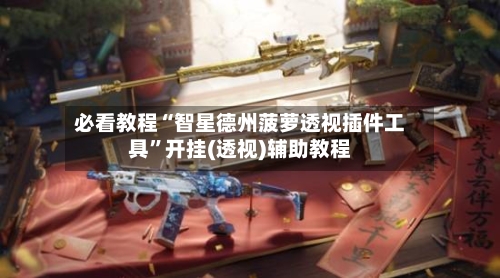 必看教程“智星德州菠萝透视插件工具”开挂(透视)辅助教程-第2张图片