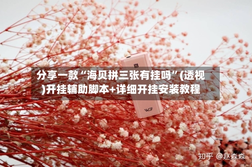 分享一款“海贝拼三张有挂吗	”(透视)开挂辅助脚本+详细开挂安装教程-第2张图片