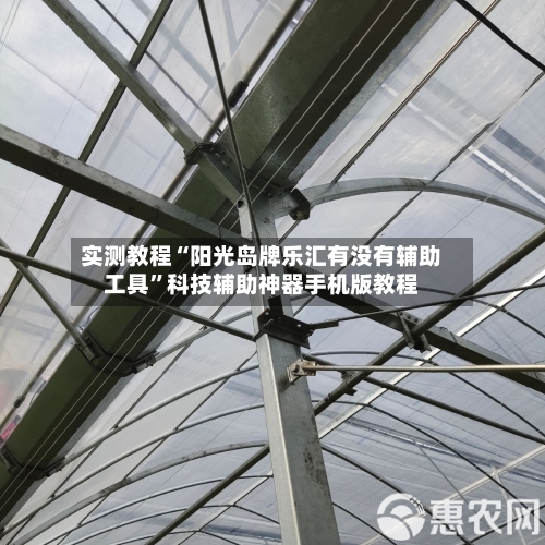 实测教程“阳光岛牌乐汇有没有辅助工具	”科技辅助神器手机版教程-第2张图片