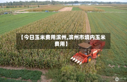 【今日玉米费用滨州,滨州市境内玉米费用】