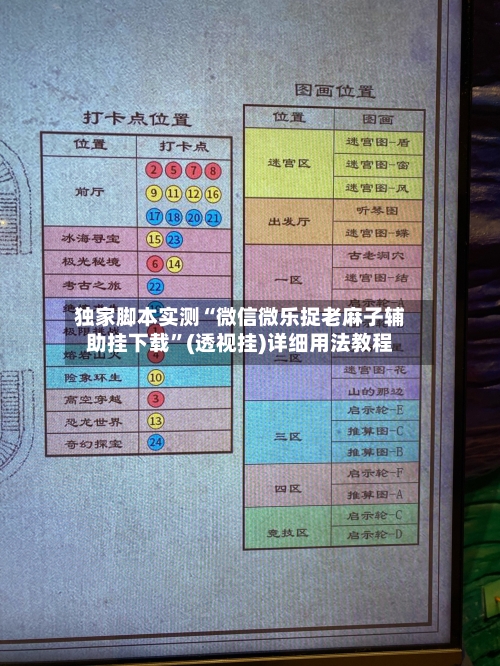 独家脚本实测“微信微乐捉老麻子辅助挂下载”(透视挂)详细用法教程-第3张图片