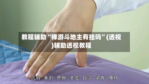 教程辅助“禅游斗地主有挂吗	”(透视)辅助透视教程-第2张图片