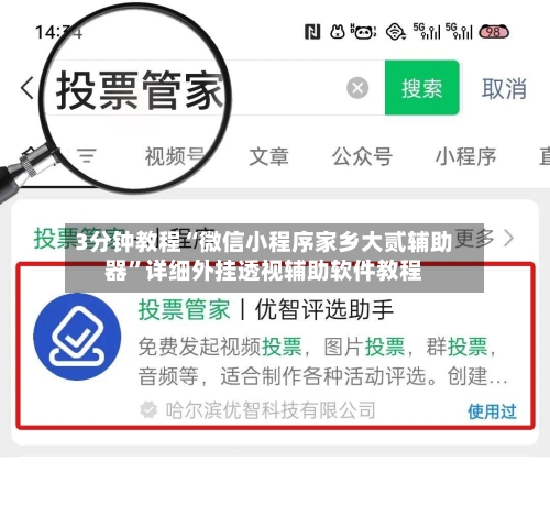 3分钟教程“微信小程序家乡大贰辅助器”详细外挂透视辅助软件教程-第2张图片