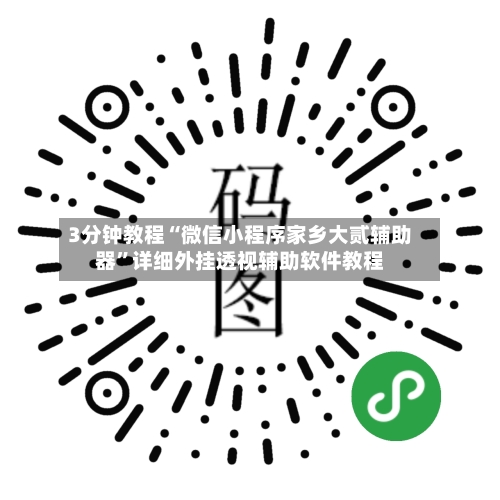 3分钟教程“微信小程序家乡大贰辅助器”详细外挂透视辅助软件教程-第3张图片