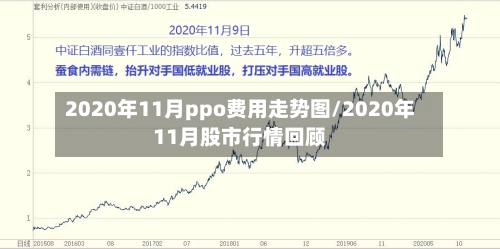 2020年11月ppo费用走势图/2020年11月股市行情回顾
