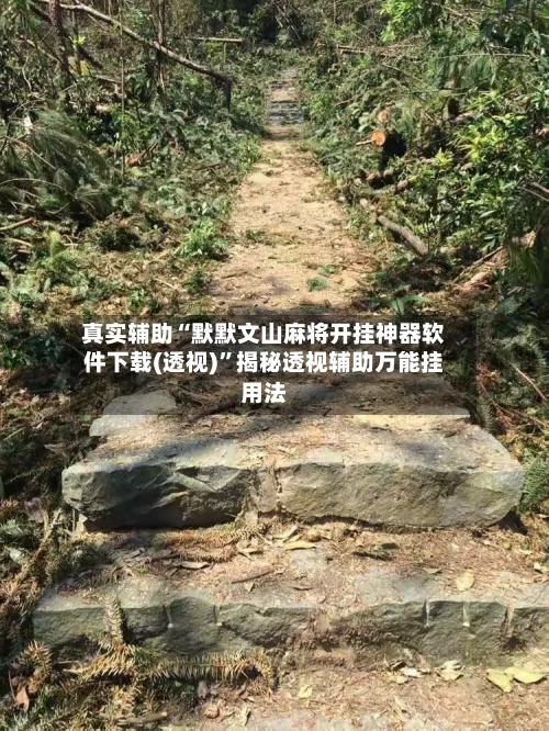 真实辅助“默默文山麻将开挂神器软件下载(透视)	”揭秘透视辅助万能挂用法-第2张图片