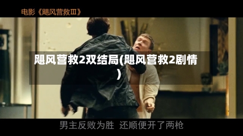 飓风营救2双结局(飓风营救2剧情)