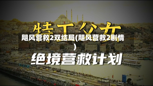 飓风营救2双结局(飓风营救2剧情)-第2张图片