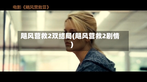 飓风营救2双结局(飓风营救2剧情)-第3张图片