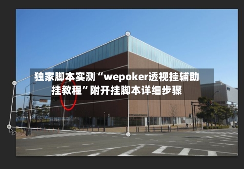 独家脚本实测“wepoker透视挂辅助挂教程”附开挂脚本详细步骤-第2张图片