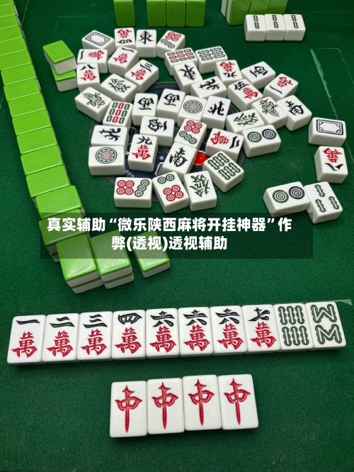 真实辅助“微乐陕西麻将开挂神器”作弊(透视)透视辅助-第2张图片