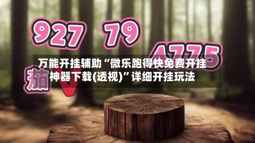 万能开挂辅助“微乐跑得快免费开挂神器下载(透视)	”详细开挂玩法-第2张图片