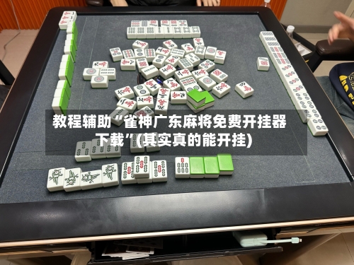 教程辅助“雀神广东麻将免费开挂器下载”(其实真的能开挂)